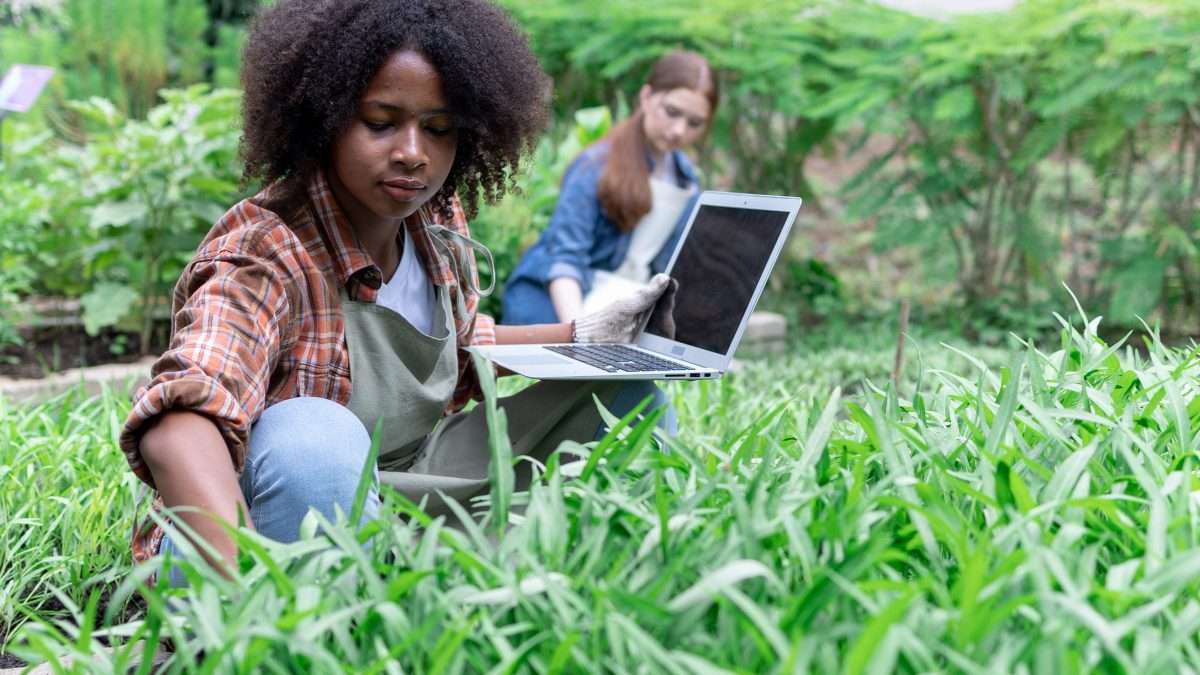 A young woman uses a laptop computer to analyze and research agricultural crops in a vegetable plot.